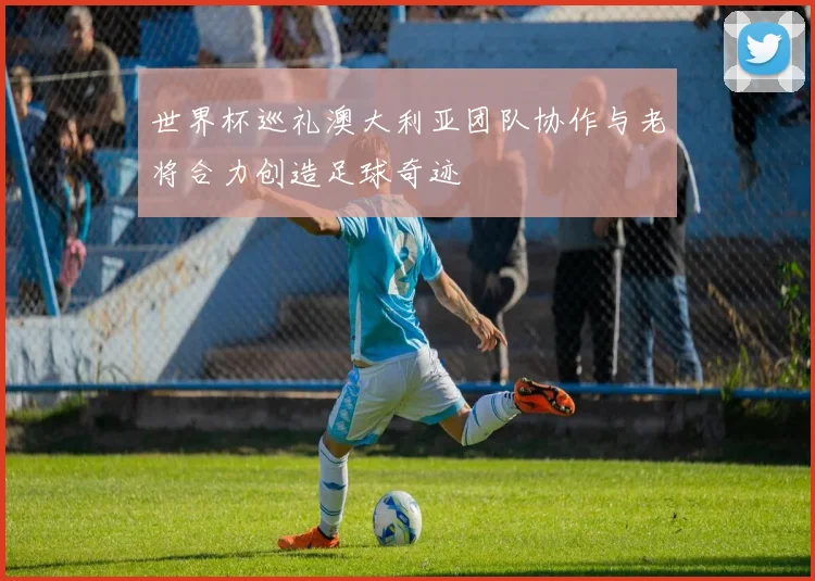 世界杯巡礼澳大利亚团队协作与老将合力创造足球奇迹
